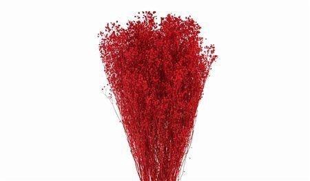 <h4>DROOGBL BEWERKT H%</h4>