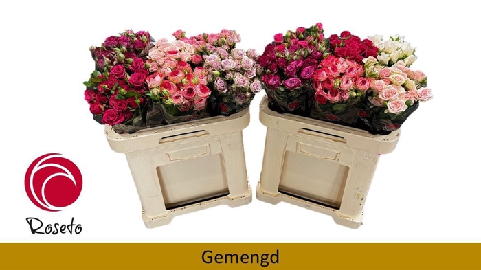 <h4>R Tr Gemengd In Fust</h4>