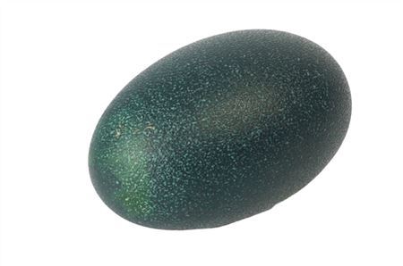 <h4>Deco Egg Emu Resin</h4>