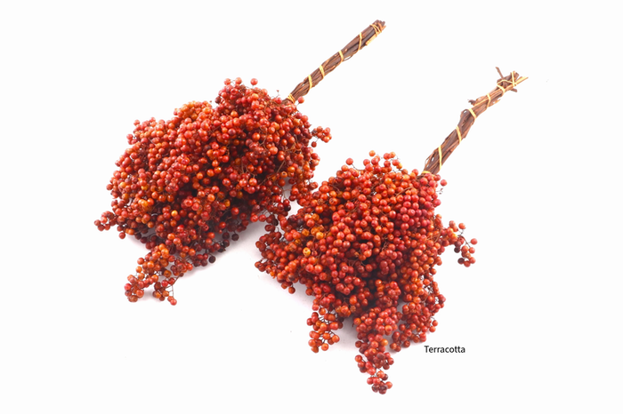 Pepperberry Terracotta