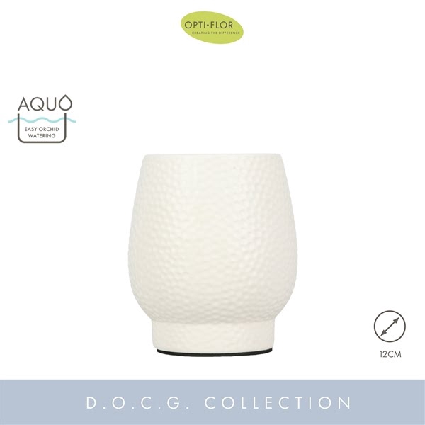 <h4>Abruzzo White 12 cm Aquo</h4>