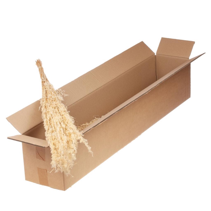 <h4>Alfa Grass Sb Bleached White</h4>