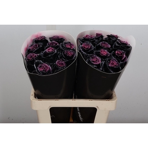 Wax-Rozen Wax Black Beauty