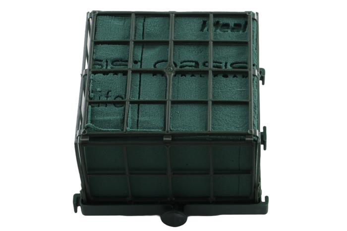 <h4>Oasis Auto Corso 11x11x10cm</h4>