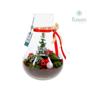 Green Bottle Olaf Large met Kerst arrangement