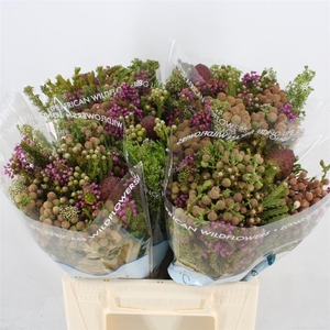 Kaaps groen   ...mix in bos
