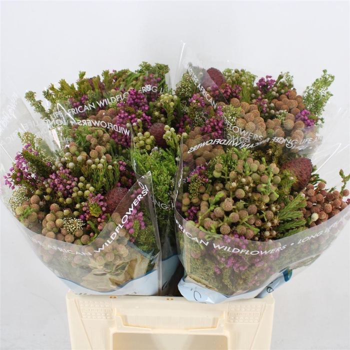 <h4>Kaaps groen   ...mix in bos</h4>