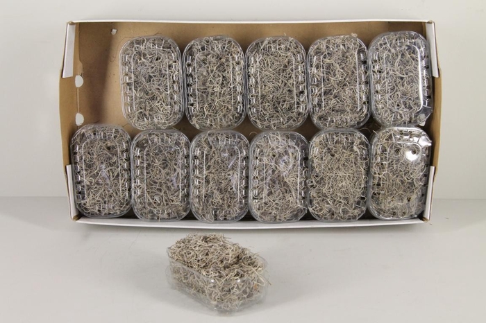 <h4>Moss Tillandsia Box Natural</h4>