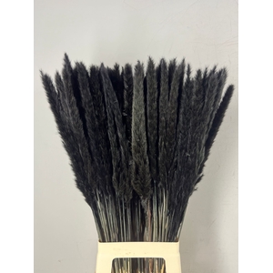 DF Pampas Silvy Bs 10pc Black