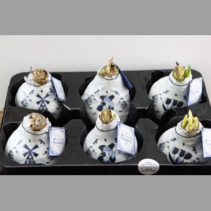 Wax Hipp Delfts Blauw Mix