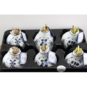 Wax Hipp Delfts Blauw Mix