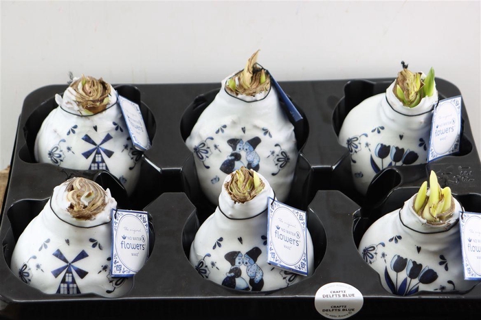 <h4>Wax Hipp Delfts Blauw Mix</h4>