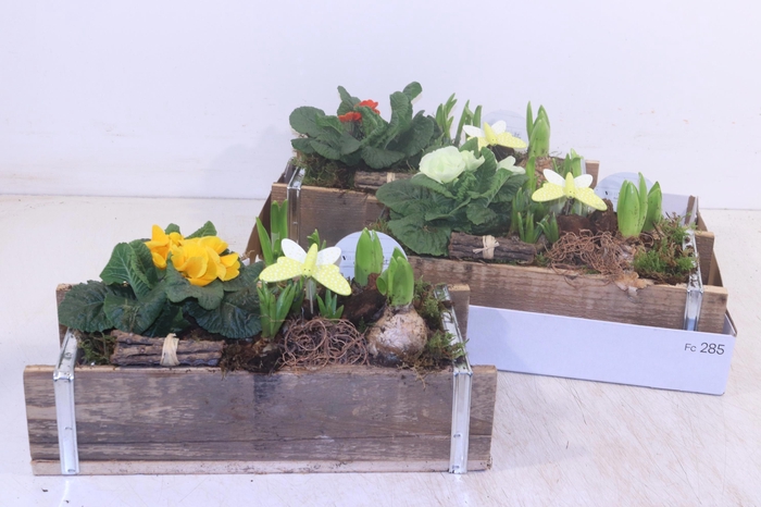 <h4>ARR TUINPLANTEN</h4>