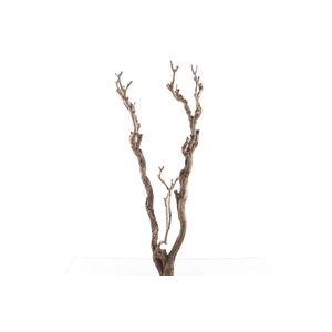 Syringa Branch Super Yamada