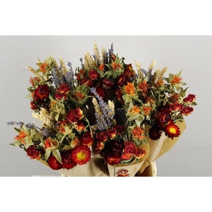 Df Bouquet 50cm Dutch Orange