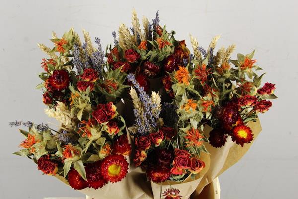 <h4>Df Bouquet 50cm Dutch Orange</h4>