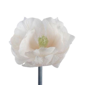 Stem Magnolia Bloom L30w30h35