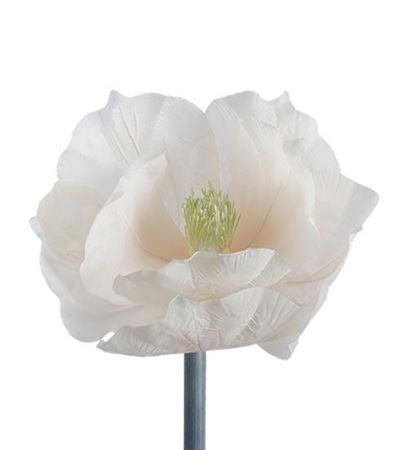 <h4>Stem Magnolia Bloom L30w30h35</h4>