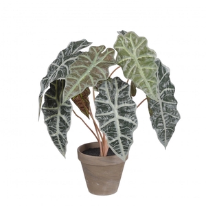 Kunstplanten Pot Alocasia d13/36*44cm