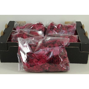 Moss Icelandic 500gr Red