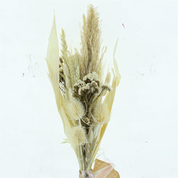 <h4>Dried Super Bouquet Bleached White</h4>