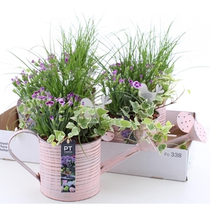 ARR TUINPLANTEN