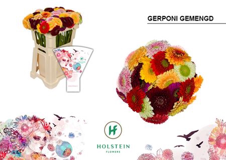 <h4>Ge Bv Hoes Gerponi Mix</h4>