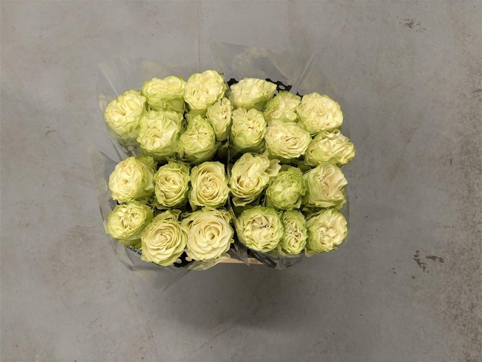 <h4>R GR Country Soul</h4>