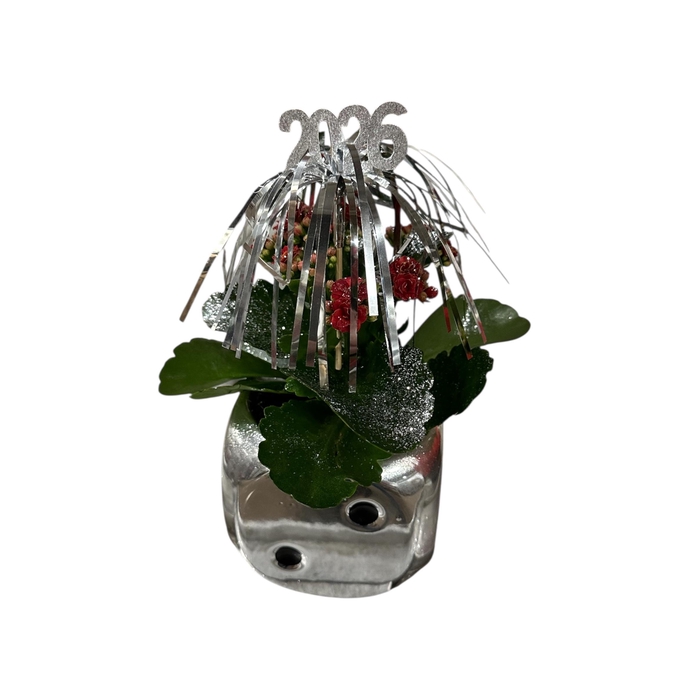 <h4>Kal dobbelsteen</h4>