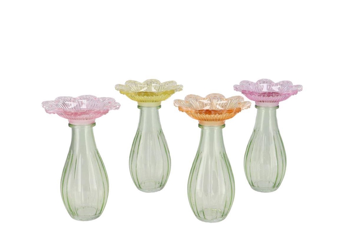 <h4>Bicolore Pastel Vase Flower Stem Ass 11x18cm</h4>