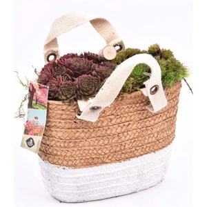 Cement tasje met jute 20x10cm