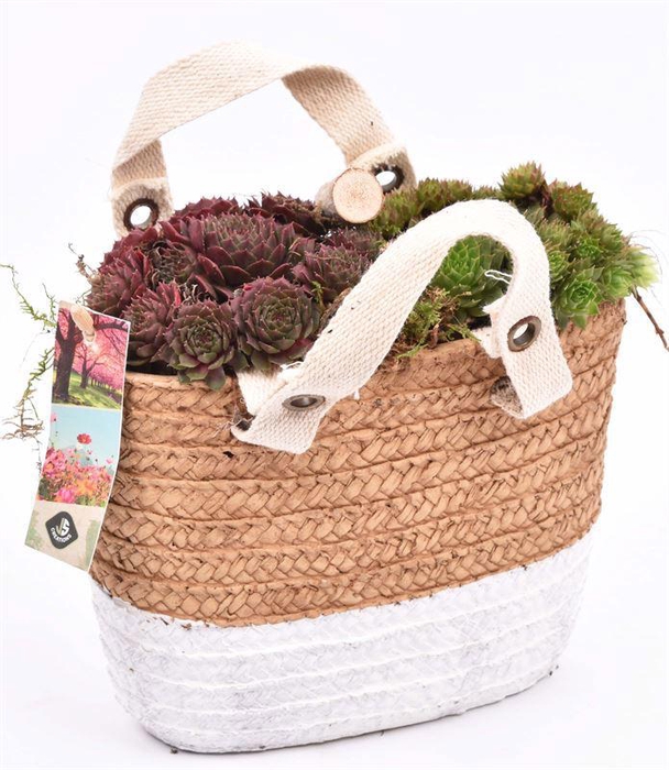 <h4>Cement tasje met jute 20x10cm</h4>