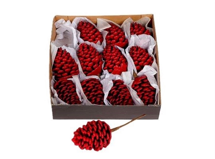 <h4>Deco Pinecone Wax Red X12 L6w6h9d6</h4>