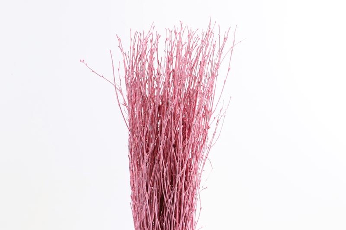 <h4>Berk Klb Pink</h4>