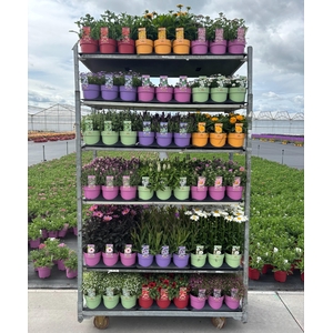 Bee Friendly Mixkar