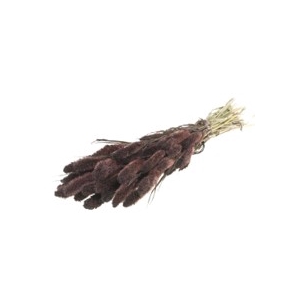 .Setarea deep brown