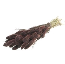 .Setarea deep brown