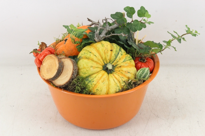 <h4>arr4 Sierfruit MB - Zink oranje x4</h4>