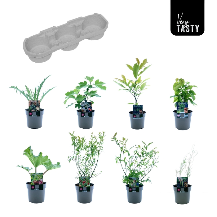 <h4>Very Tasty Mix tray</h4>