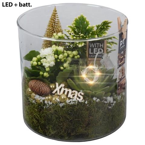 <h4>PTCHG5755 Arrangementen Kerst</h4>