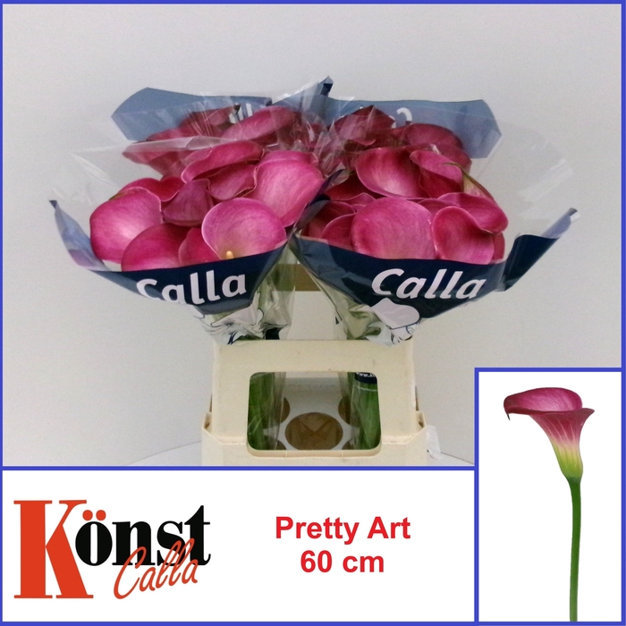 <h4>ZANT PRETTY ART</h4>