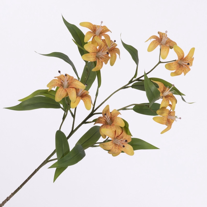 <h4>Lilium Spray Pink Orange</h4>