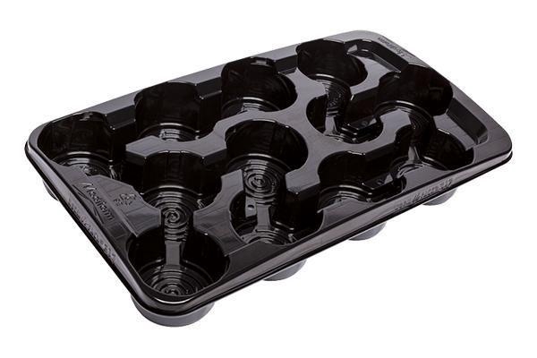 <h4>Primula 'Touch Me' Red-White | Decorum</h4>