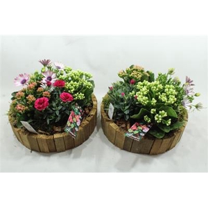 BU65 BT HOUT ROND