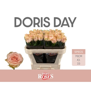 R GR DORIS DAY