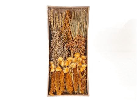 <h4>Box Stem Dried Flowers  Spring  Ass 350g L55</h4>