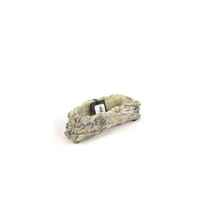 PLANT. CEMENT TREE 19.5*8*6