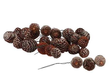 <h4>Pick Nature Leuc Murri Streng P/30 Pc 2025</h4>