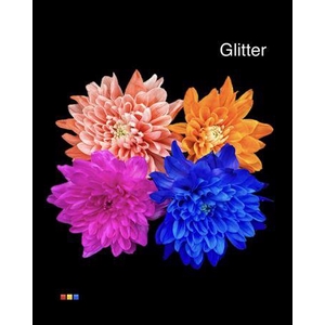 Chr T Baltica Mix + Glit Bio