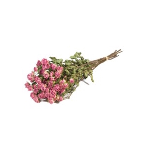 .Roses spray light pink